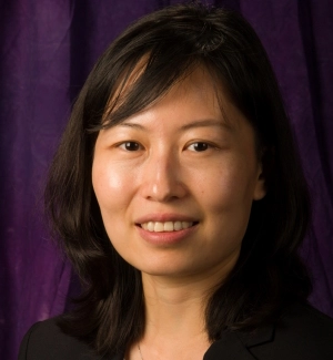 Dr. Lei Han, CPA