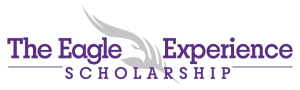 The Eagle Experience Logo