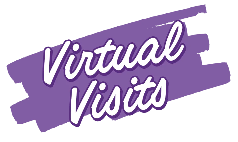 virtual visit text