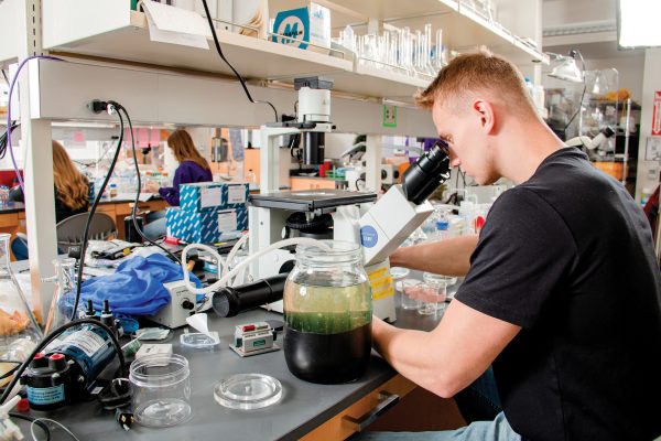 male student in lab doing experiments