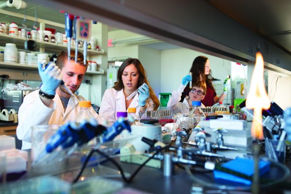 three students working in an NU lab