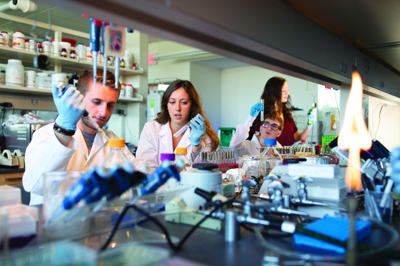 three students working in an NU lab