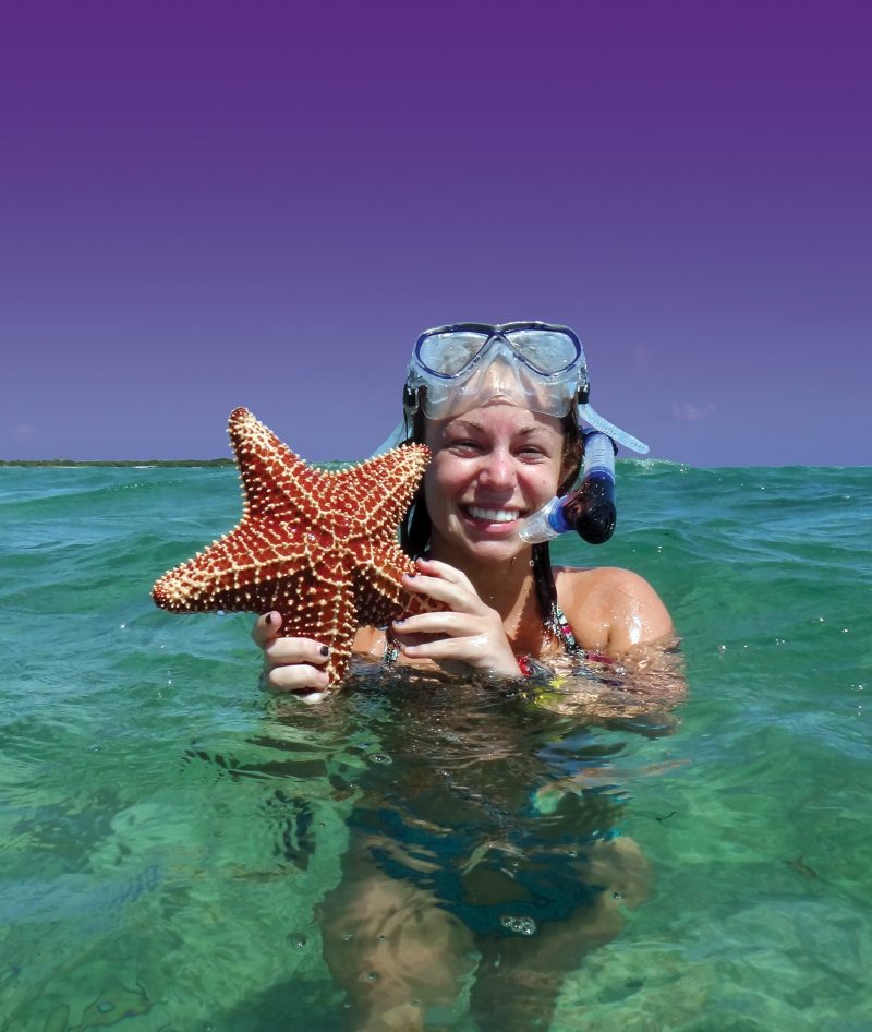 student in ocean with starfish