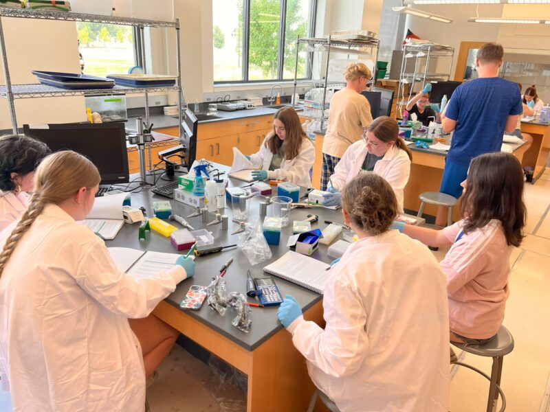 Students at STEM Camps