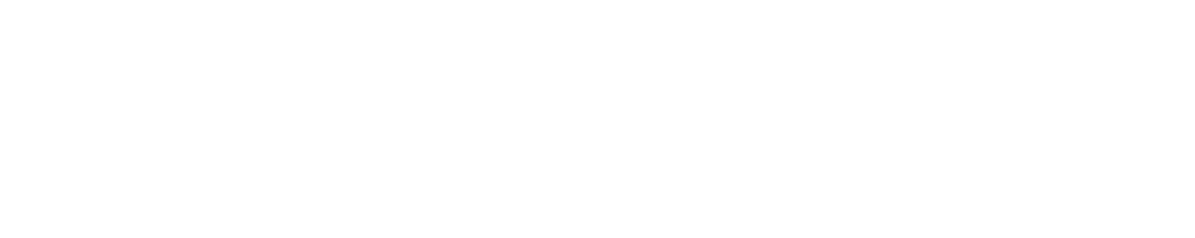 Niagara University Logo